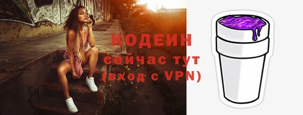 2c-b Бородино