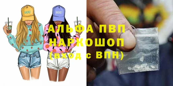 2c-b Бородино